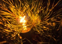 From Reflections: A Miniature Star of Bethlehem