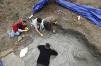 A Form III Cistercian student helps unearth a Dimetrodon skeleton